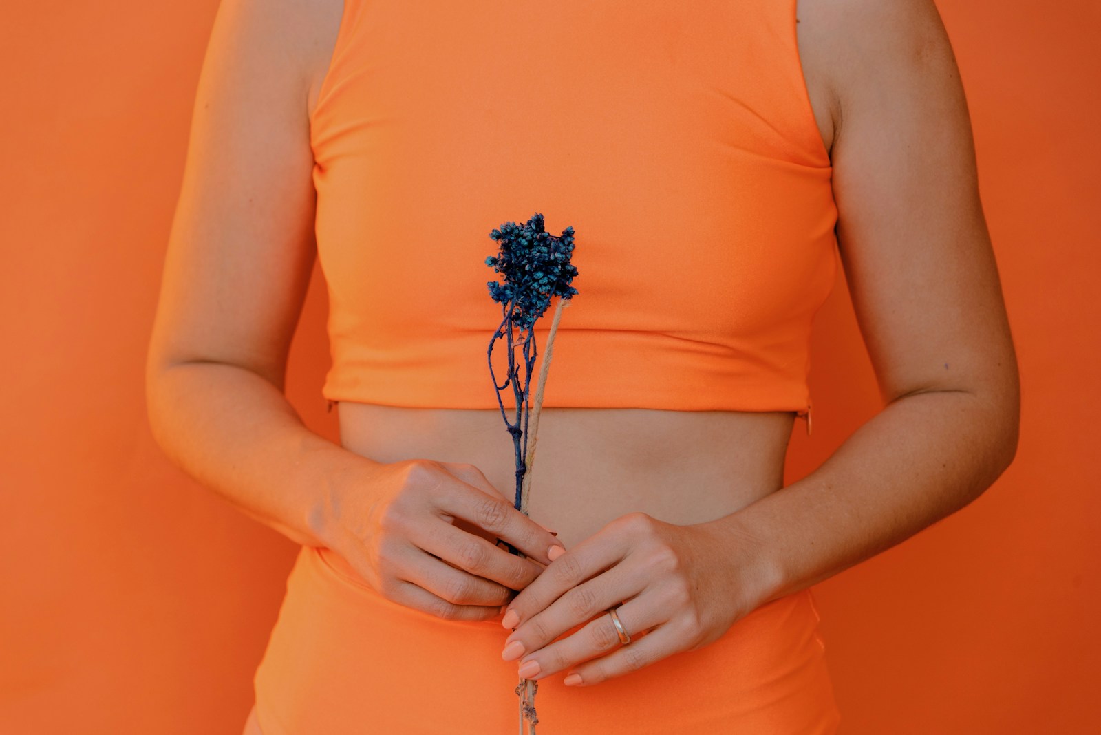 Babka płesznik naturalny sposób na wsparcie trawienia i kontrolę poziomu cukru we krwi